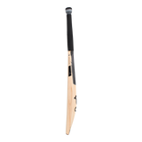 SHADOW 5.0